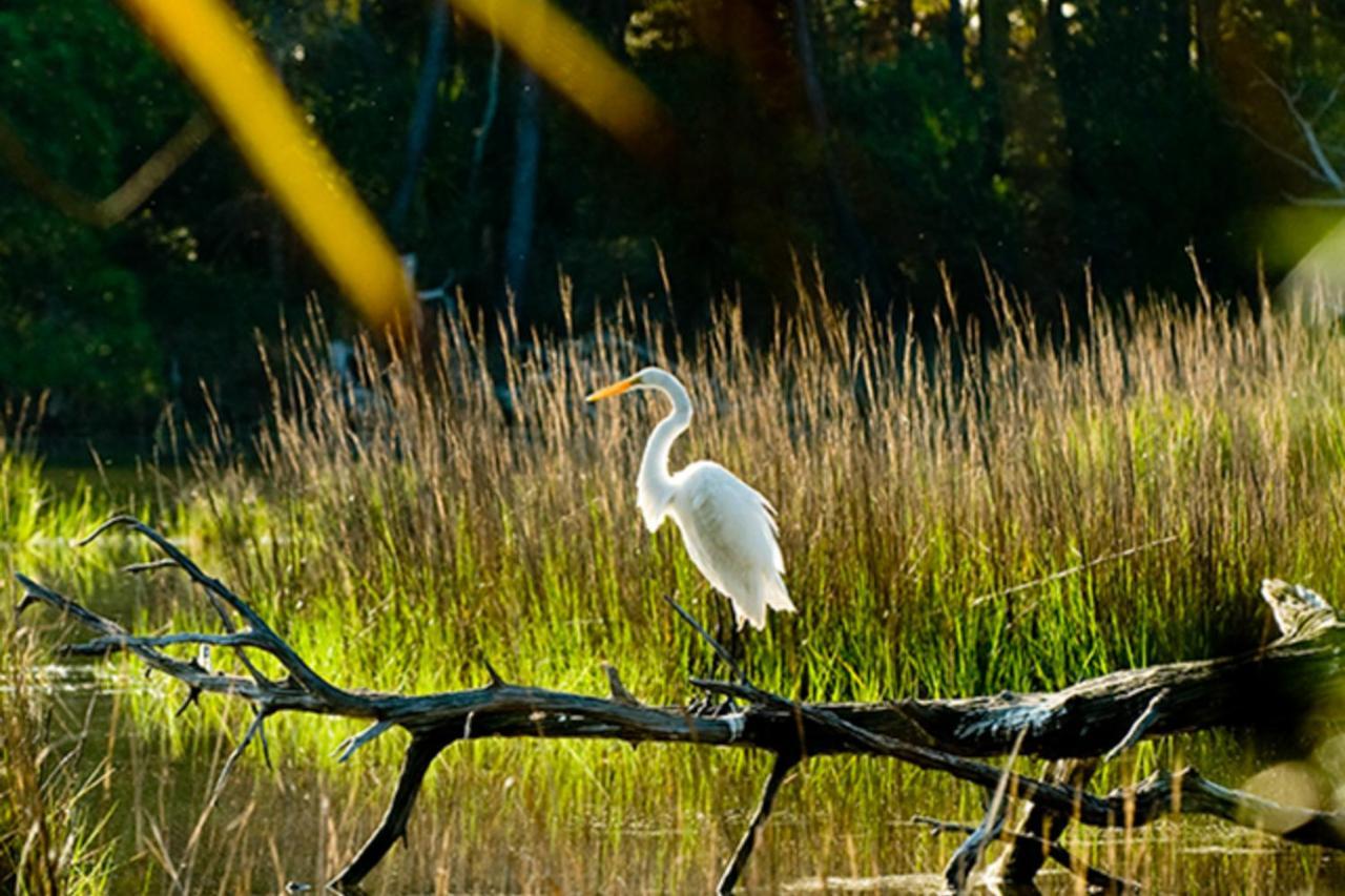 Tennis Club 4709 Kiawah Island Ngoại thất bức ảnh