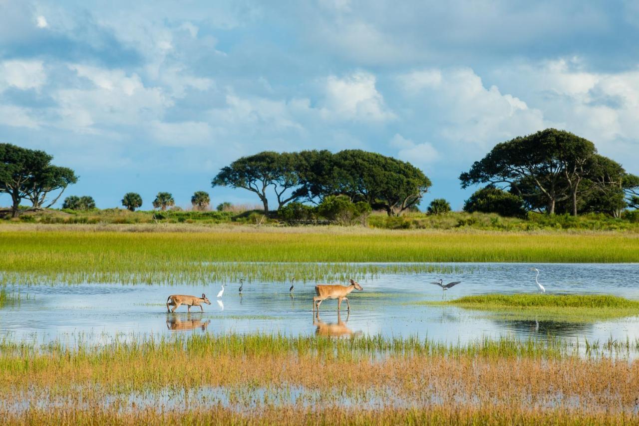 Tennis Club 4709 Kiawah Island Ngoại thất bức ảnh